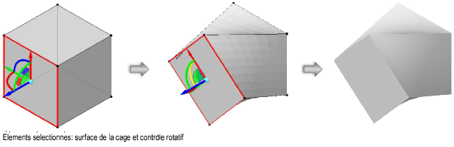 Formes300081.png