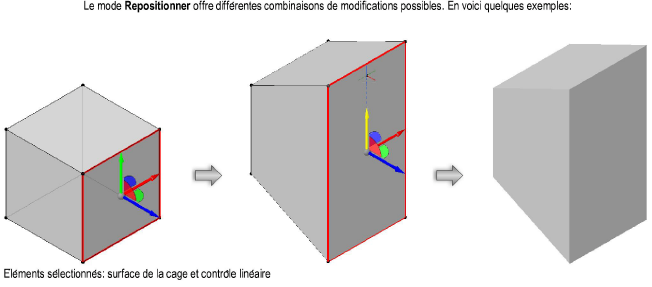 Formes300091.png