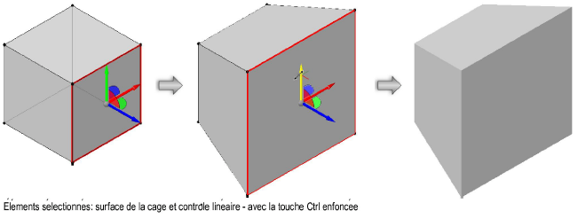 Formes300094.png