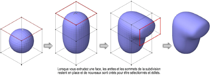 Formes300117.png