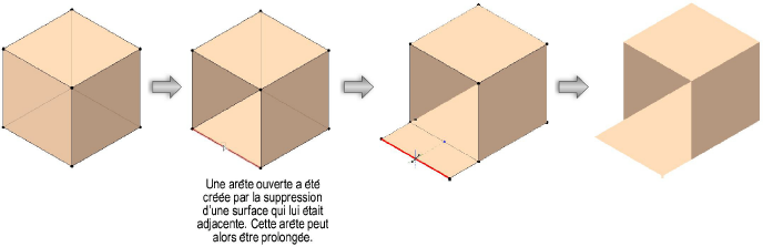 Formes300124.png