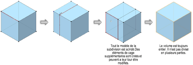 Formes300132.png