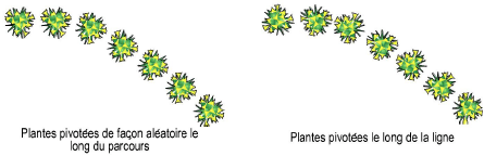 Plantes00033.png