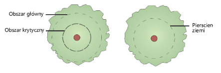 Plants00104.png